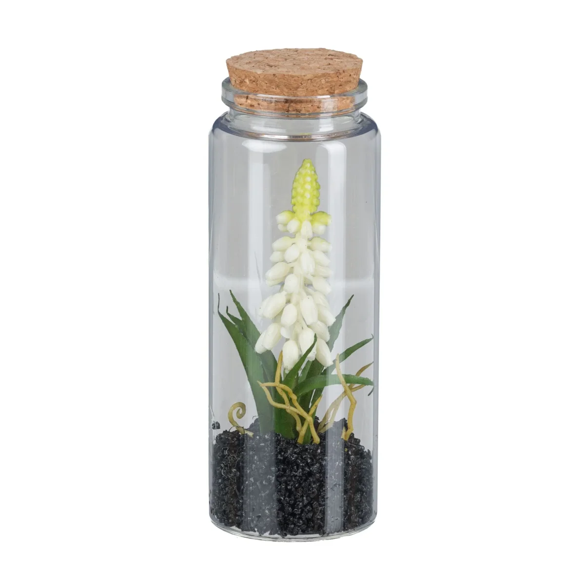 Barbara, Perlehyacint i glas, Hvid - Billede 2
