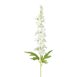 Barbara, Ridderspore, Hvid, h86 cm