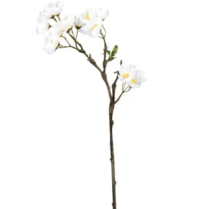 Barbara, Æbleblomst, Grøn gren, Hvid, h60cm