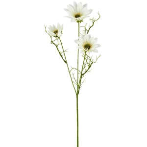 Barbara, Daisy Marguerit, Hvid H 63 cm