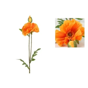 Barbara, Valmue, Orange, h64 cm