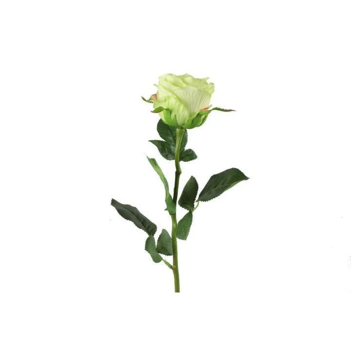 Barbara, Rose, Lime, h70 cm - Billede 2
