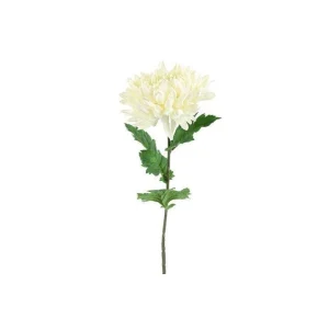 Barbara, Chrysanthemum, Hvid, h75 cm