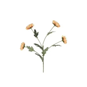 Barbara, Chrysanthemum, Karmel, H 83 cm