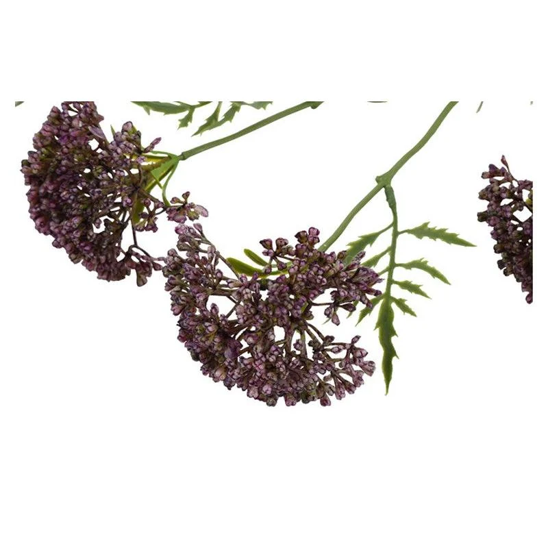 Barbara, Skærmblomst, Purple H 72 cm - Billede 3