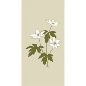 Ib Laursen, Serviet, Anemoner