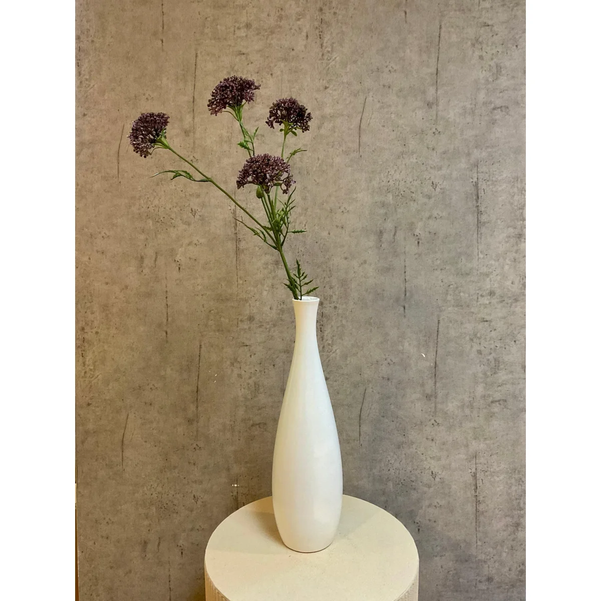 Barbara, Skærmblomst, Purple H 72 cm - Billede 4